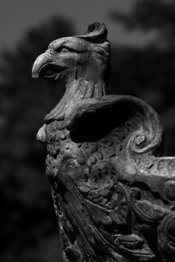 2012 05 20 4194ebw